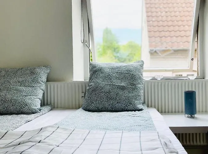 Scandinavian -lunden 2- 2 Хорсенс